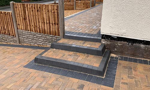 Driveways Mold