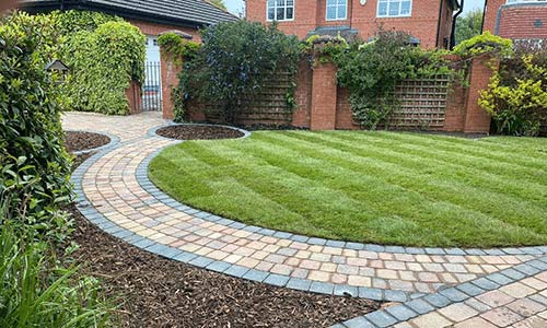 Driveways Mold